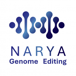 NARYA Genome Editing